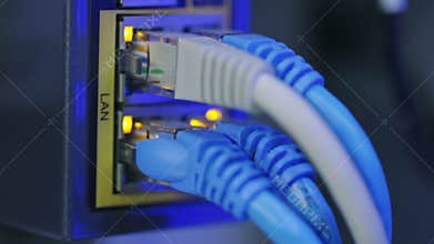 Close-up of LAN network cables plugged into switch panel