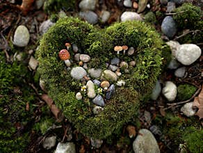 Heart-shaped arrangement of natural elements, predominantly flat stones in shades of gray, white, red, and blue, set against a