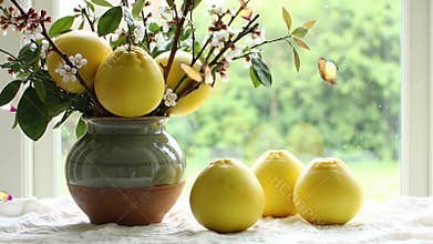 Pomelos and Blossoms in Rustic Vase by Sunlit Window Still Life