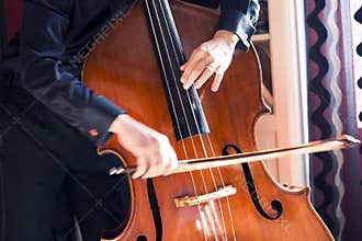 Double bass