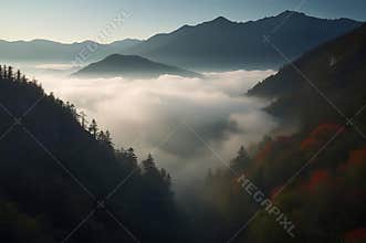 Autumn Forest Overlooking a Sunlit Foggy Valley in the Mountains
