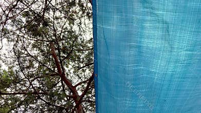 Blue tarpaulin gently moving in the wind under pine branches