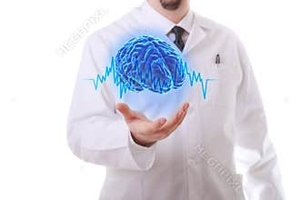 The human brain