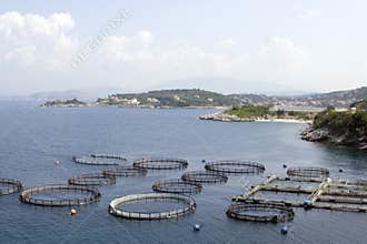 Fish farm