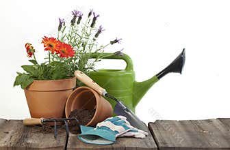 Gardening Tools and Flowers