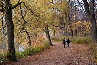 Park with fall colors