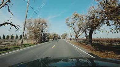 Driving down a road lined with dead trees in california in a green car
