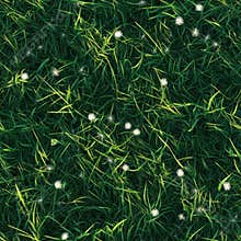 Photo of grass with small dandelion tufts, seamless texture, scattered naturally
