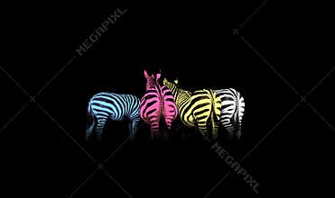CMYK Colored Zebras