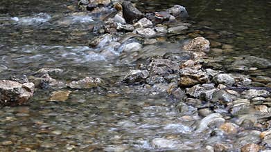Stream water