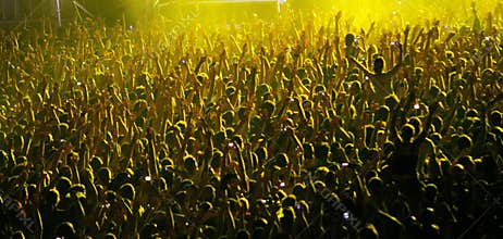 Concert crowd