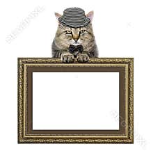 Cat in a hat and a butterfly tie relies on the picture frame