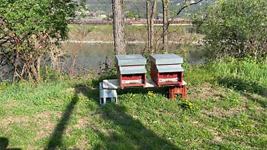 hives in Trentino, along River Adige