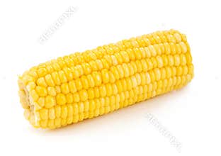 Corn cob close-up