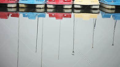 Paddle boats with seagull