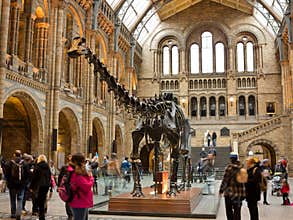 Natural History Museum in London