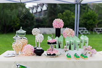 Wedding reception