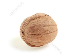 One walnut