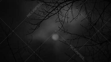 Dark Moon for a Horror Story