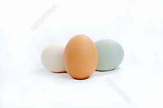 Three eggs: brown, white, and blue-green on white.