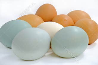 Multicolored village chicken eggs and duck eggs on white.