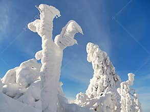 Snow-covered trees in a mountain landscape abstract nature scene