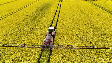 Yellow canola field. Field of blooming rapeseed aerial view. Farm tractor cultivates the field with fertilizer.