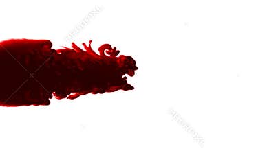 Thick blood against white, stock footage