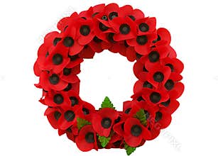 A Poppy day great remembrance war world flanders