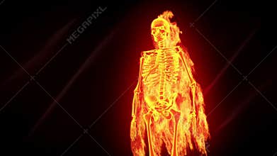 Fiery skeleton