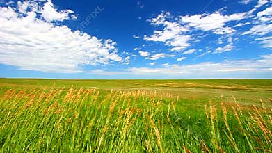 Prairie in Badlands National Park
