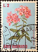 San Marino stamp with Phlox paniculata