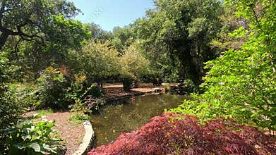 footage of a gorgeous spring landscape with a pond, lush green trees and flowers at Descanso Gardens La Canada Flintridge
