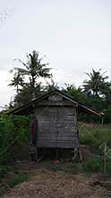 old wooden buildings are also called saung