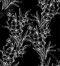 Outline daffodil black and white flowers with white contour on black.
