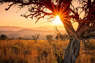 Sunset