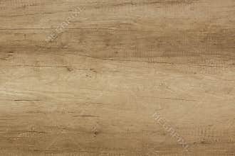 Texture of wood