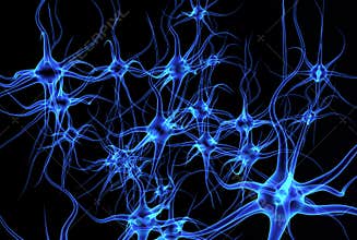 Structure of neuron