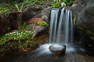 Zen Garden