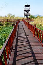 Bird watching tower, China wetland park