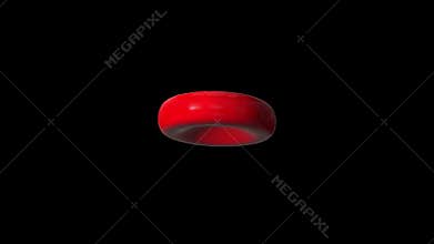 Single Red Blood Cell rotating seamless loop