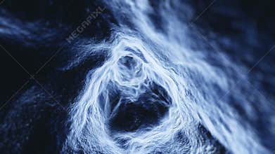 Inside the rabbit hole