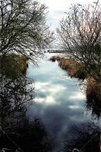 Reflections on calm water in Bretagne with trees lining the riverbank in the late afternoon