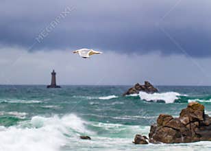 Seagull flying over ocean waves near lighthouse in Bretagne during cloudy weather