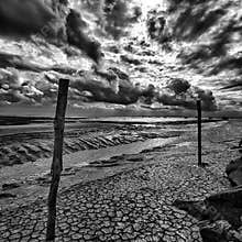 Cloudy sky over dry shore near La Rochelle with wooden posts during low tide in black and white