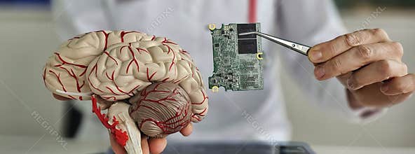 Human brain and computer chip. Microprocessor in head