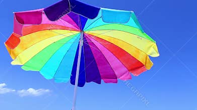 Beach Umbrella With Bird