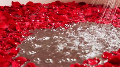 Pan shot of red rose petals in bathtub with running shower, Hotel Amar Villas, Agra, Uttar Pradesh, India