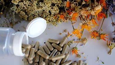 Dried medicinal herbs and flowers. Selective focus.