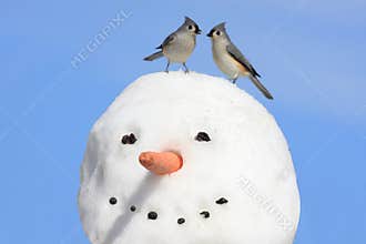 Two Birds On A Snowman